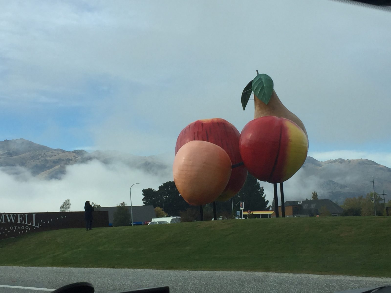 sculpture of large fruit nz