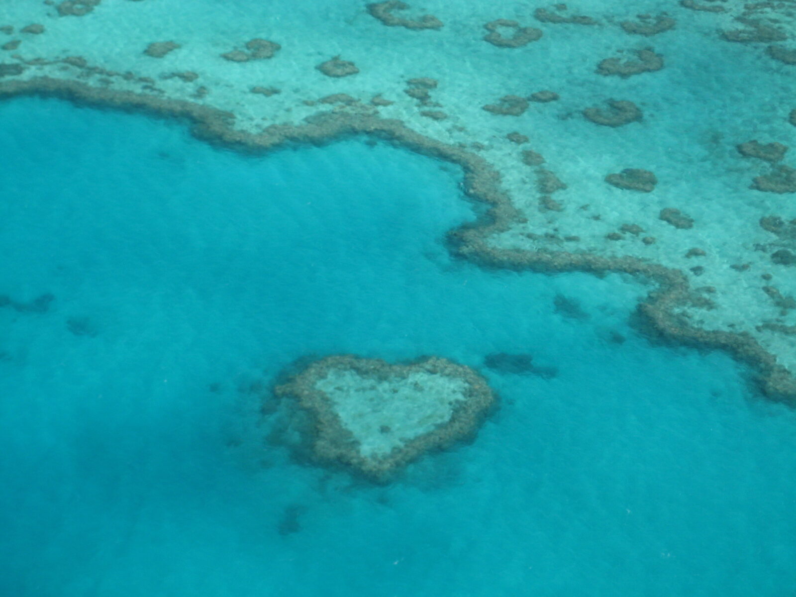 heart shaped coral reef