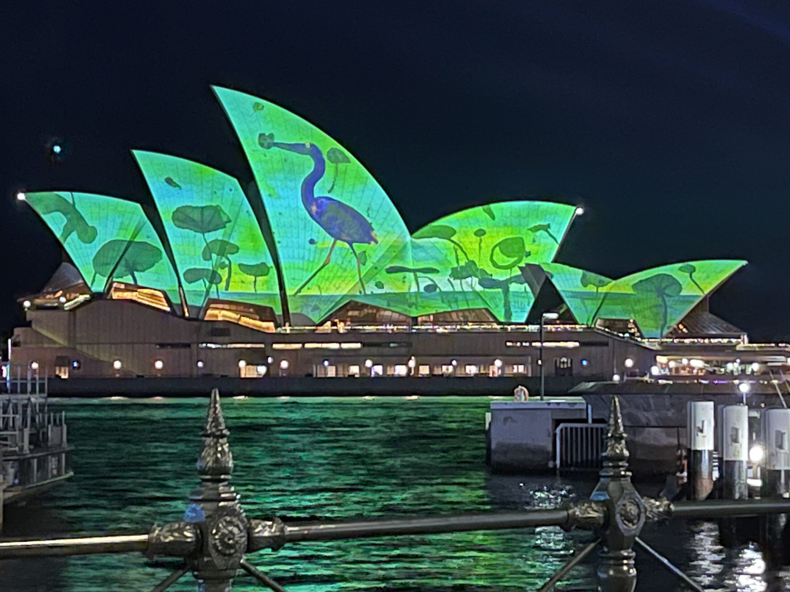 Sydney OperalHouse with special lights