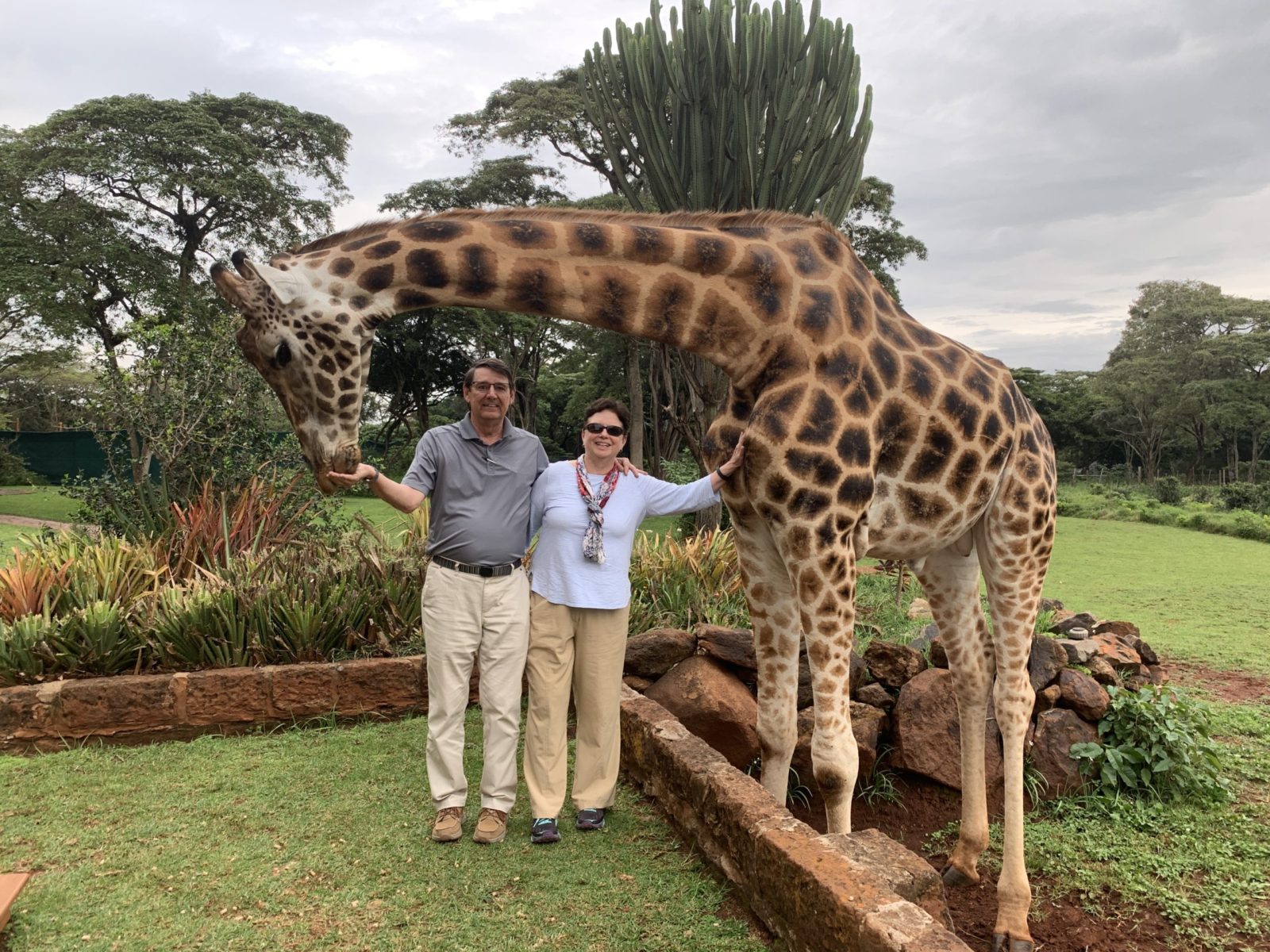 giraffe and couple