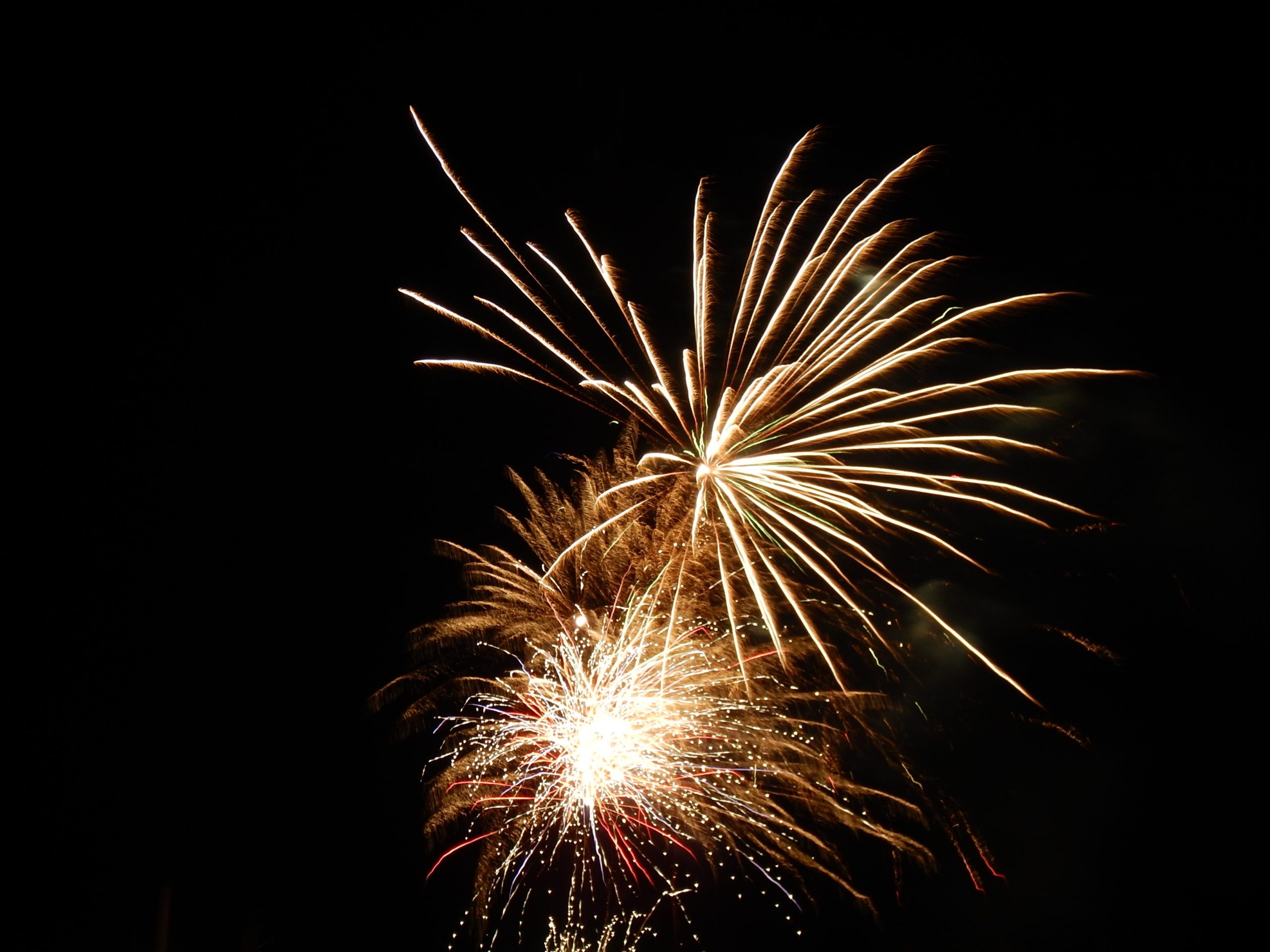 White and gold fireworks