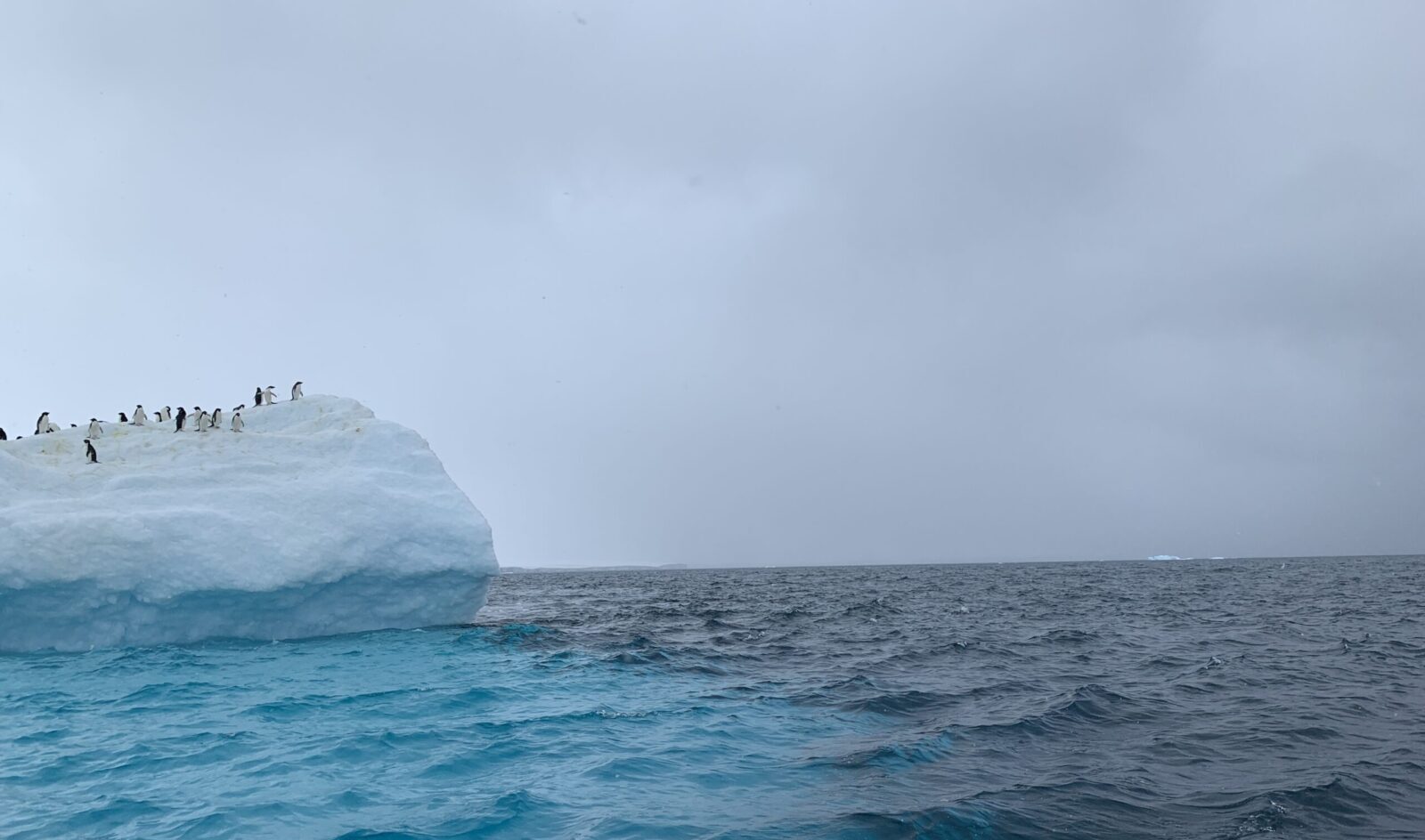 iceberg and ocean
