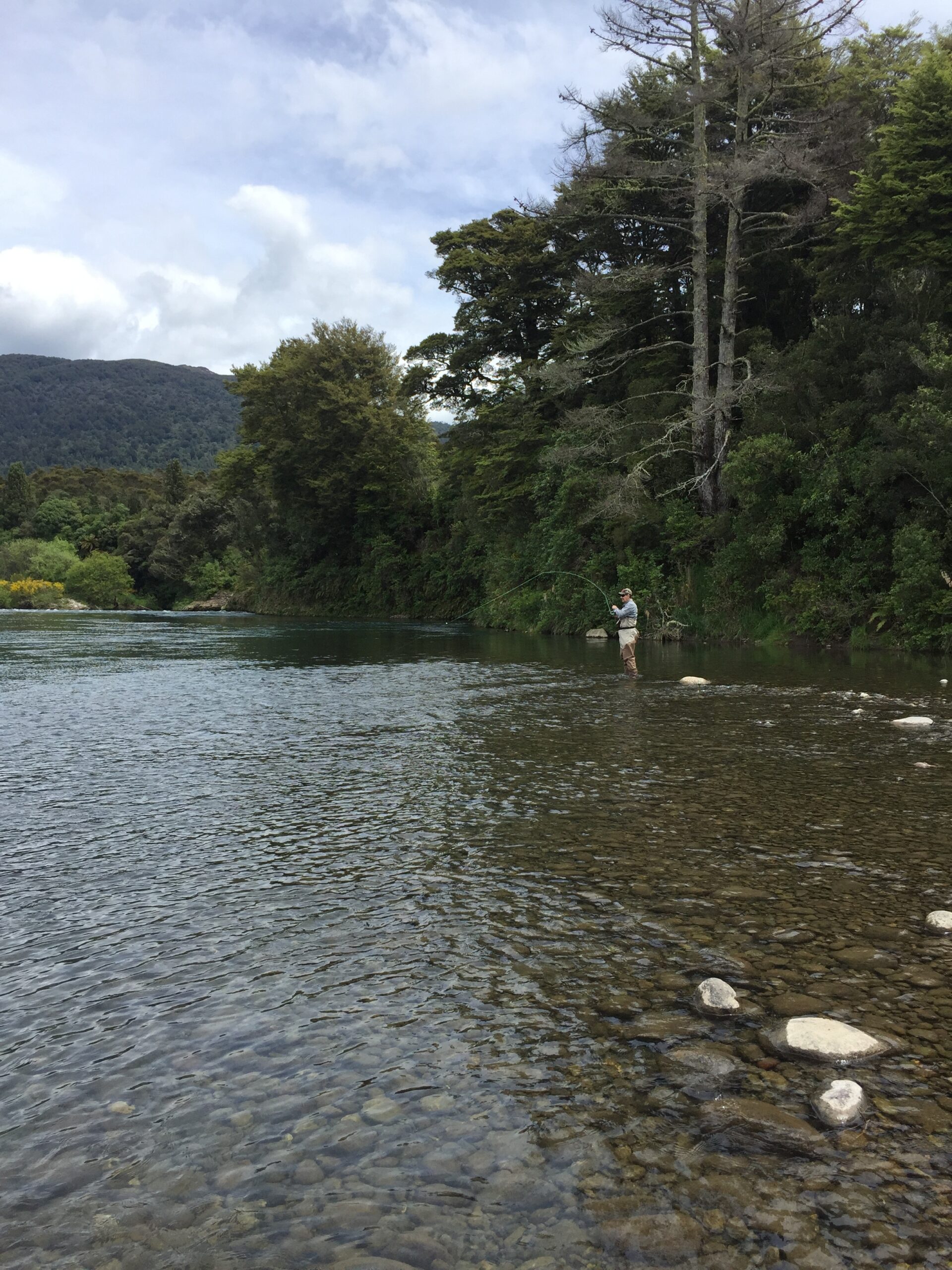 New Zealand Fishing