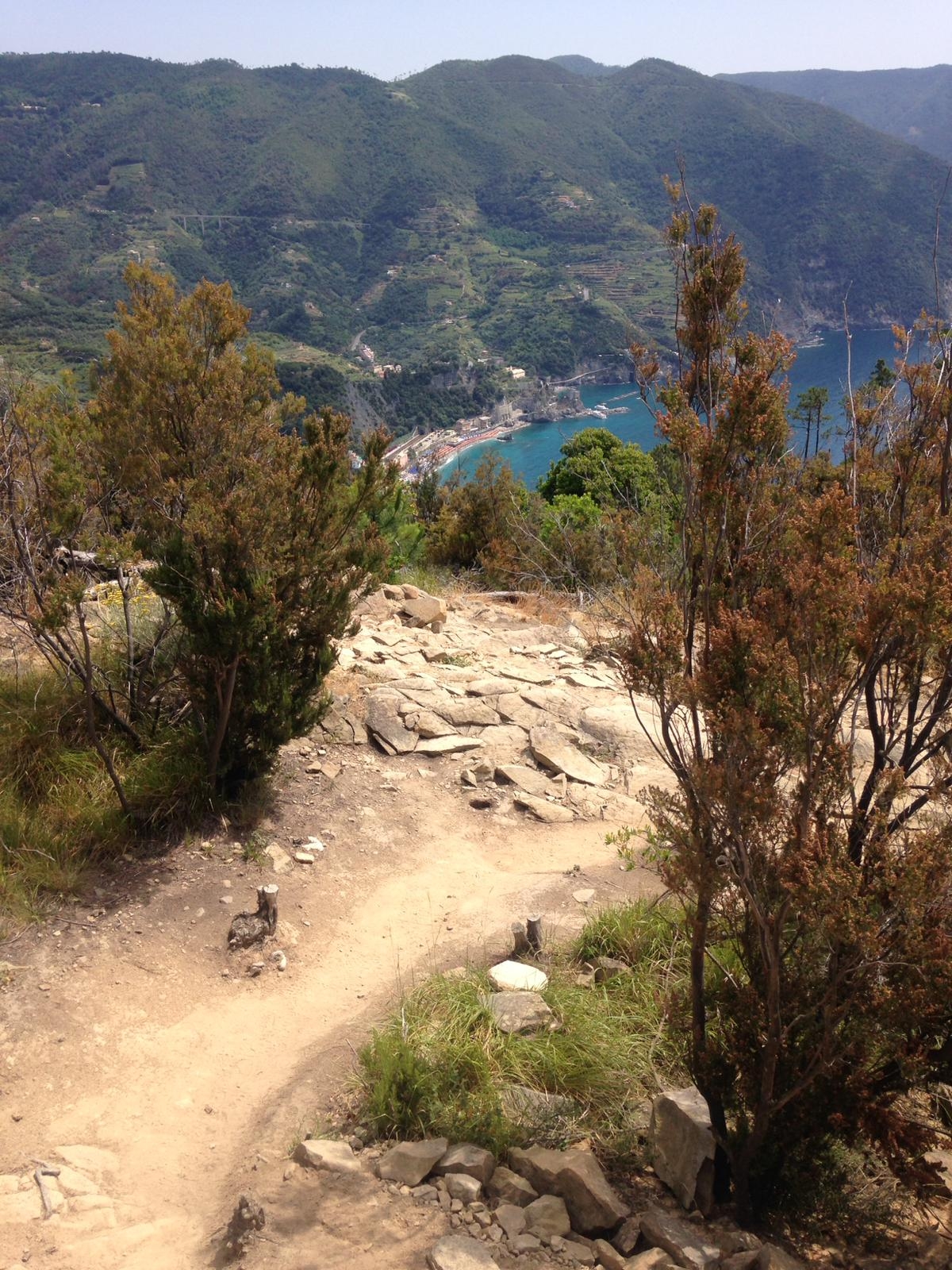 trail in the mountains