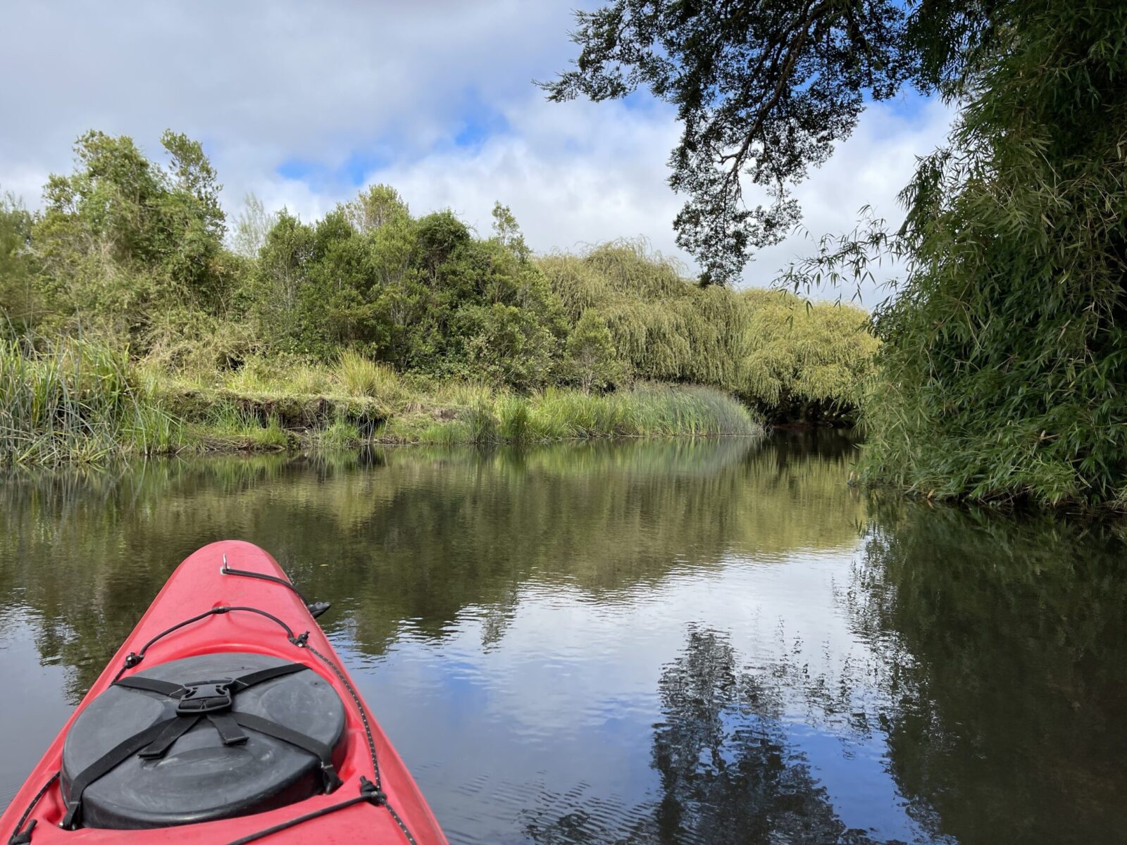 red kayak and green bushes Chile