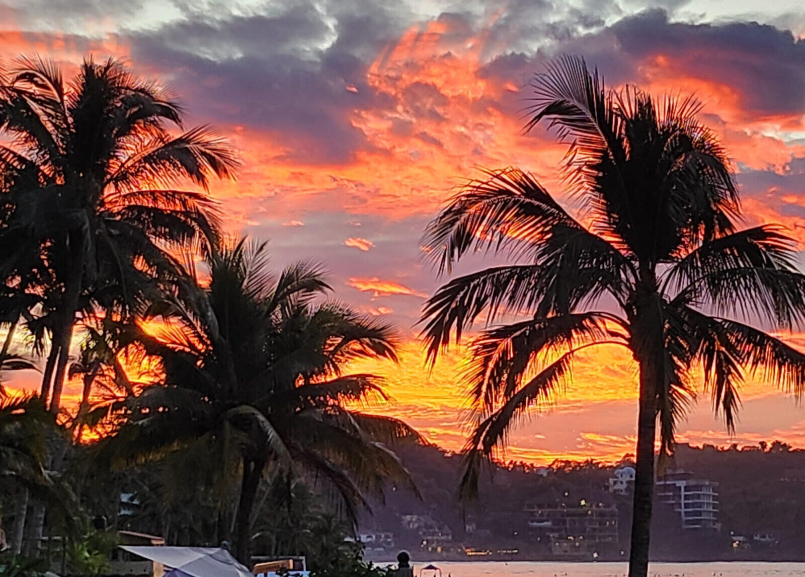 Red and orange sunset behind Palm Trees