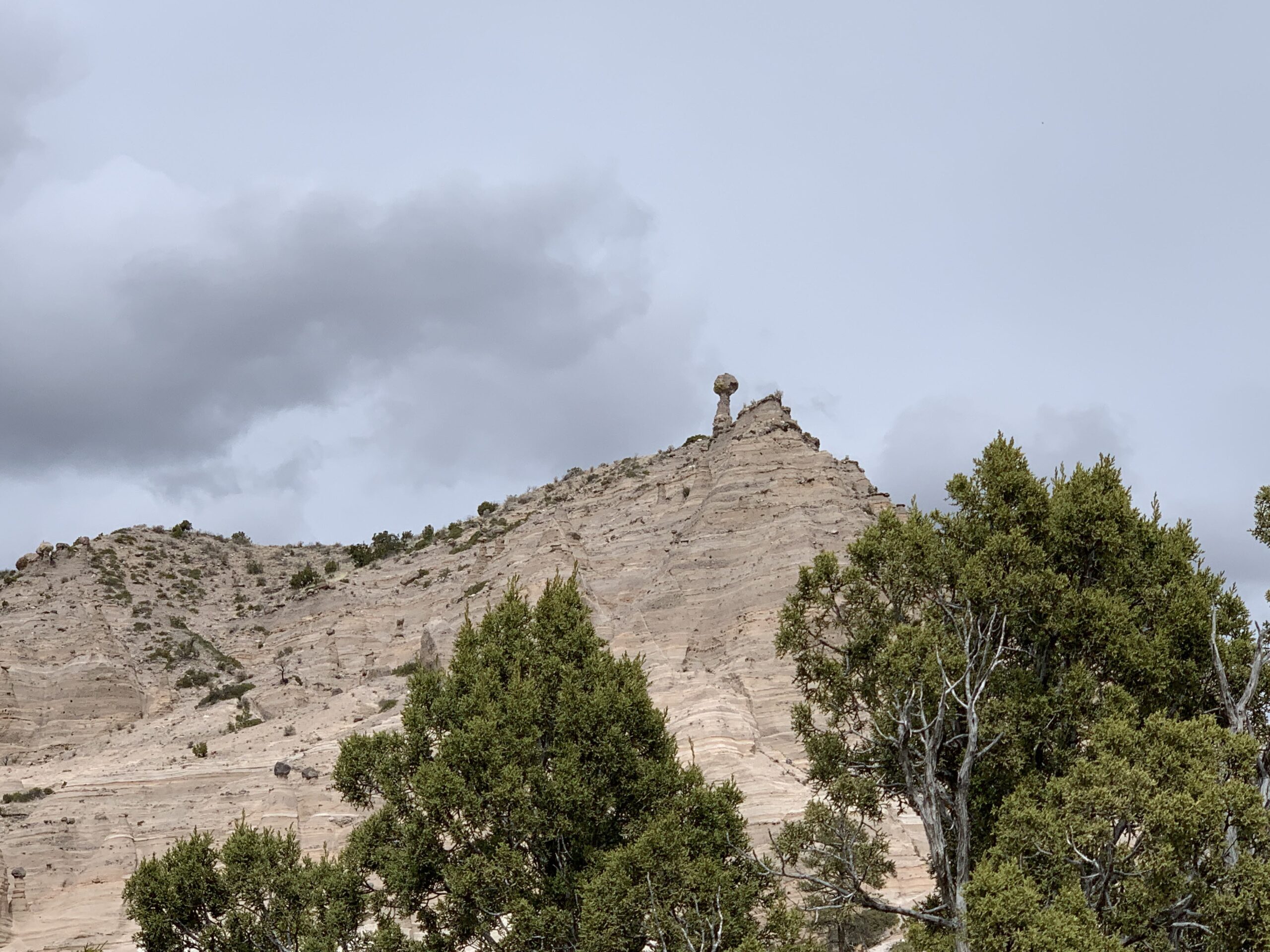 Sandstone rock formations in New Mexico