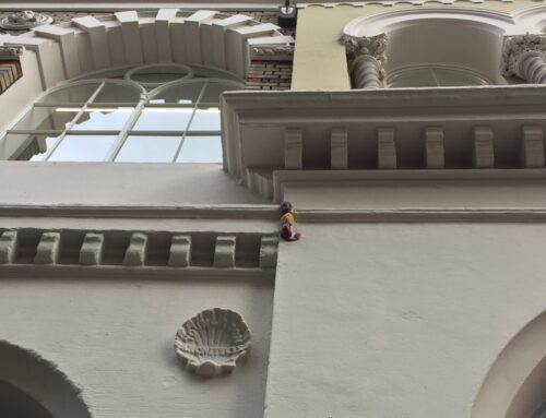 Wander Wednesday-2 July 2025