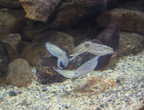 Wander Wednesday-9 July 2025