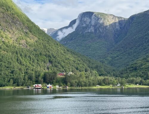 Wander Wednesday-12 November 2025