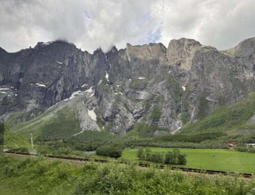 Wander Wednesday-5 November 2025