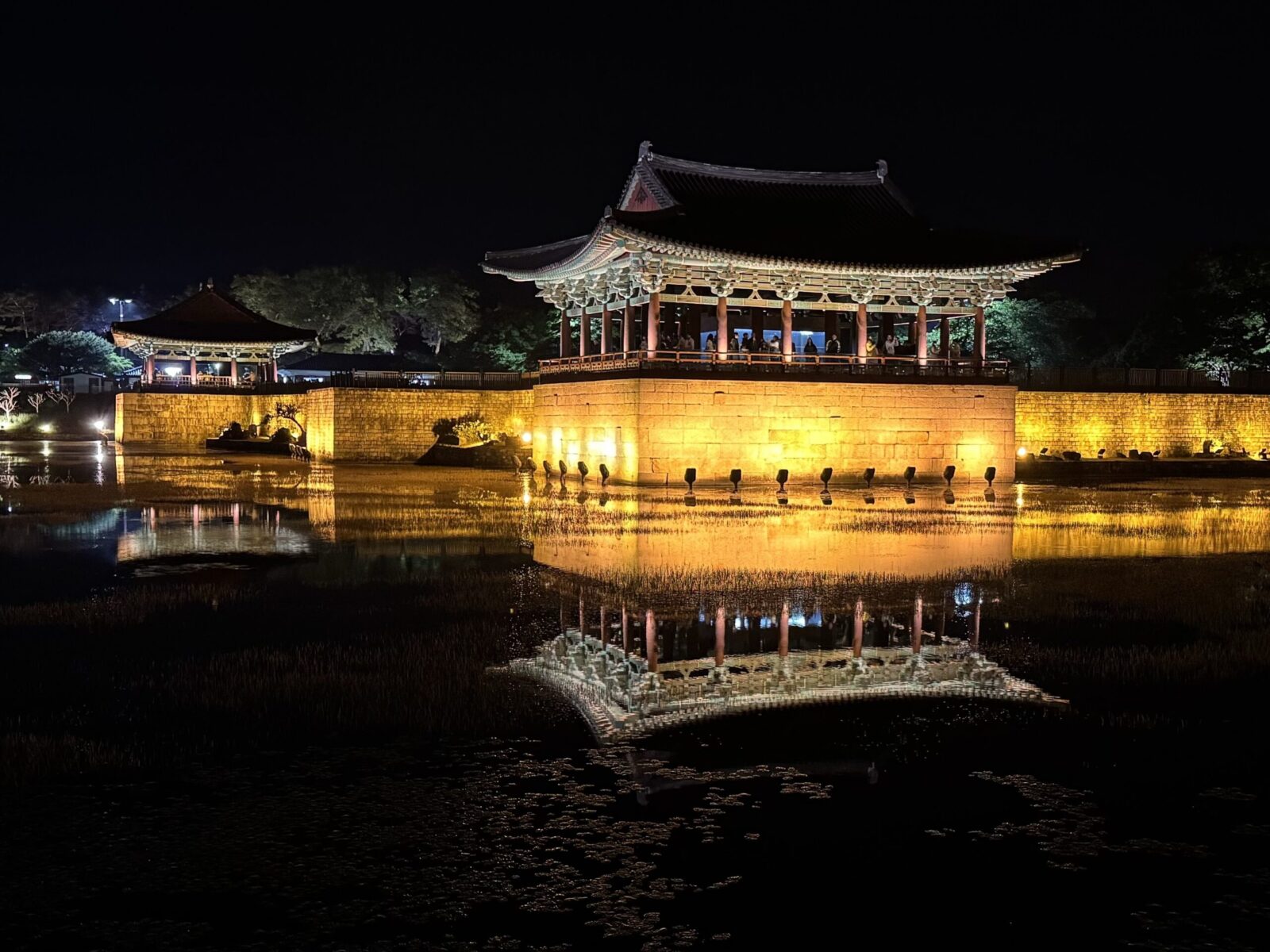 Golden lights of the palace reflected in the pond
