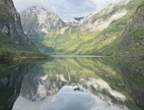 Wander Wednesday-17 December 2025