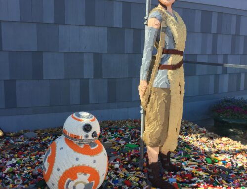 Wander Wednesday — 11 February 2026