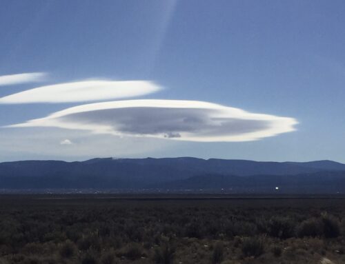 Wander Wednesday — 25 February 2026