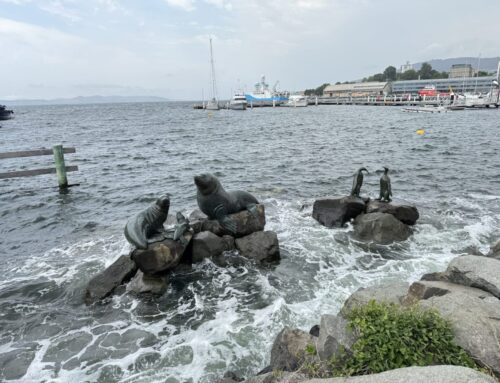 Wander Wednesday — 4 February 2026