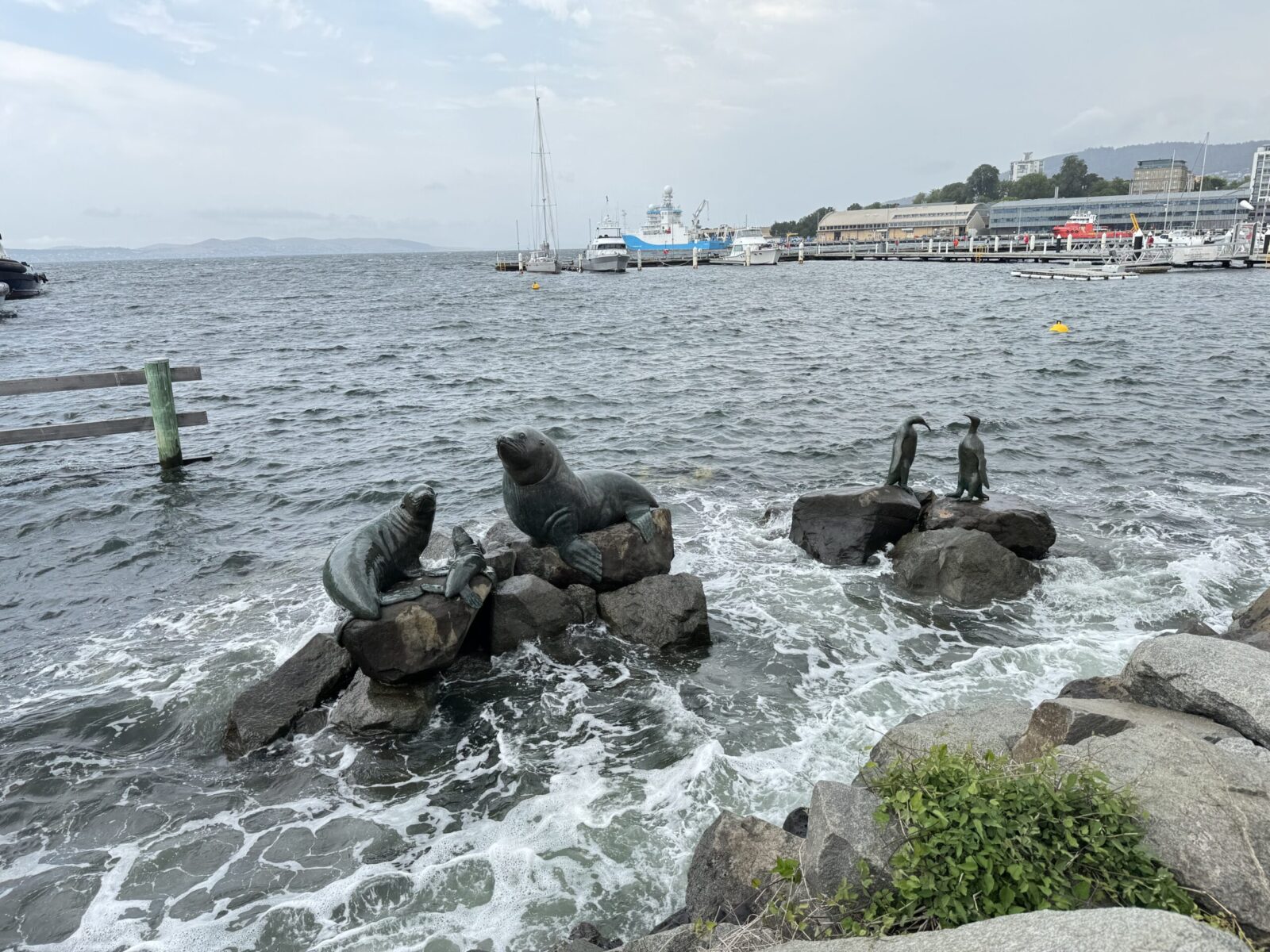 seals and penguins sculpture on the foreshore