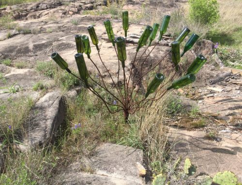 Wander Wednesday–1 April 2026
