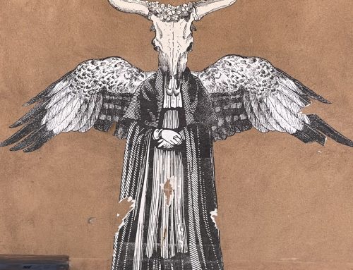 Wander Wednesday–18 March 2026