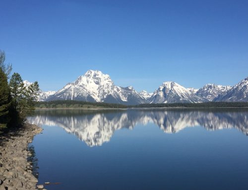 Wander Wednesday — 3 June 2026